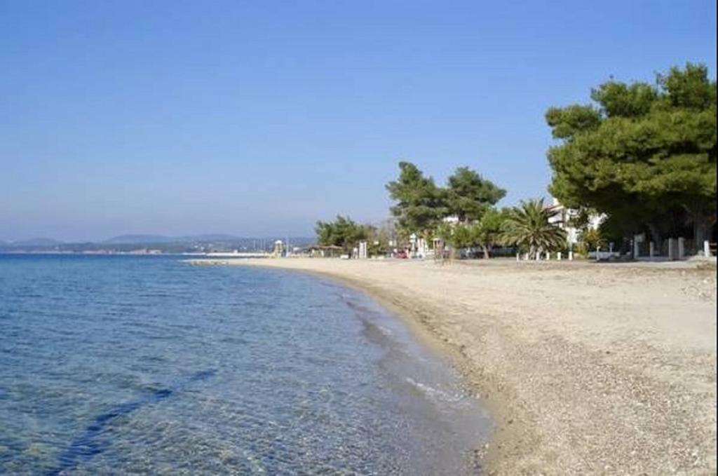 Beach House Nikiti Bagian luar foto